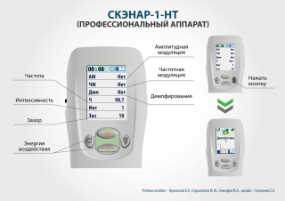 СКЭНАР-1-НТ (исполнение 01)  в Бердске купить Скэнар официальный сайт - denasvertebra.ru 