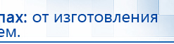 СКЭНАР-1-НТ (исполнение 01)  купить в Бердске, Аппараты Скэнар купить в Бердске, Скэнар официальный сайт - denasvertebra.ru